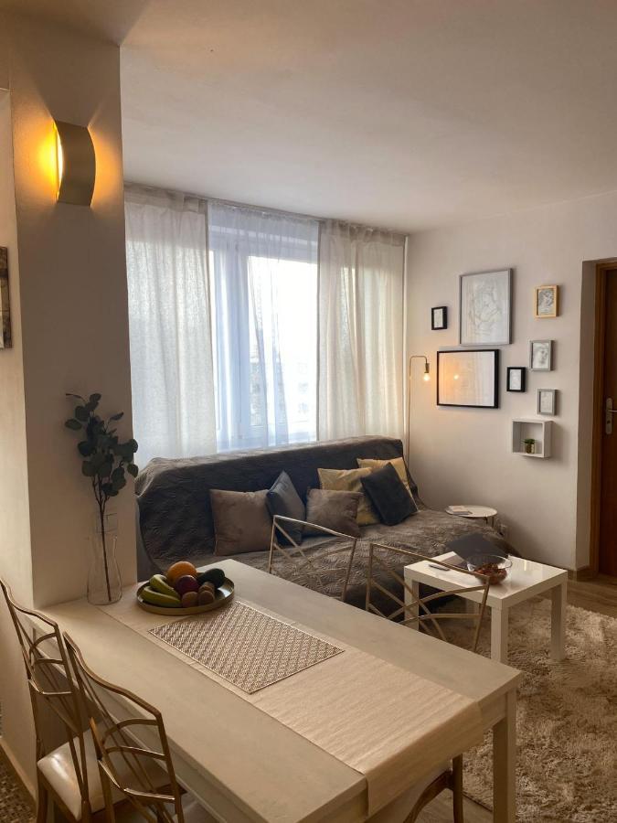 Vicky - New Apartment Centrum Srodmiescie Varšava Exteriér fotografie
