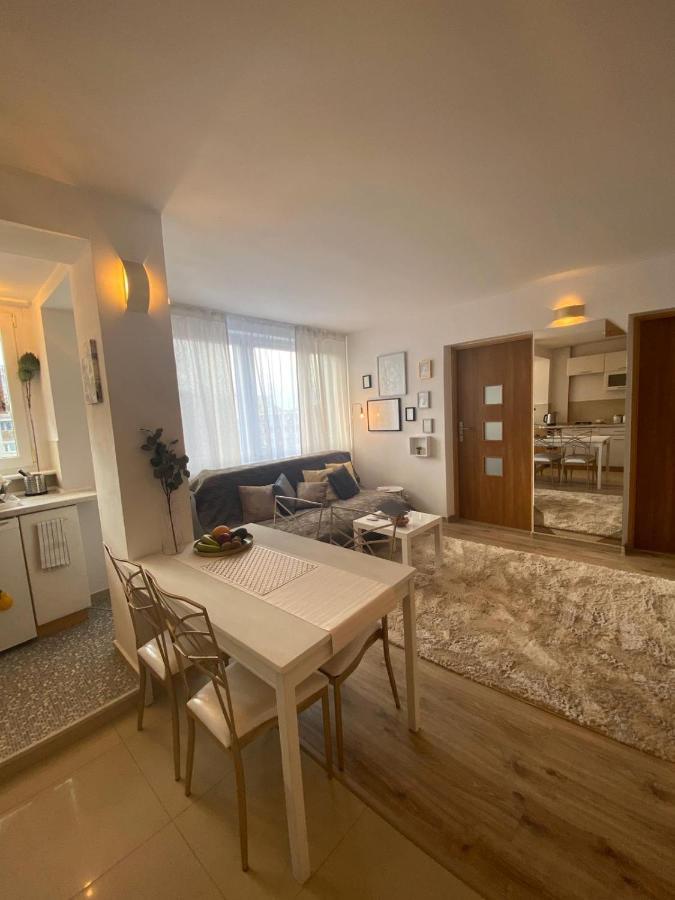 Vicky - New Apartment Centrum Srodmiescie Varšava Exteriér fotografie